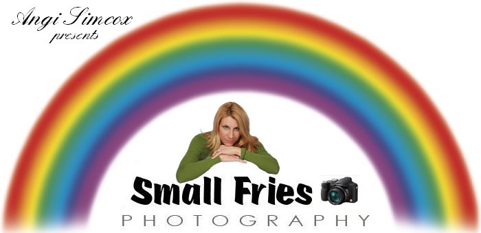 small fries logo
